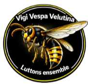 logo vigi vespa velutina frelon